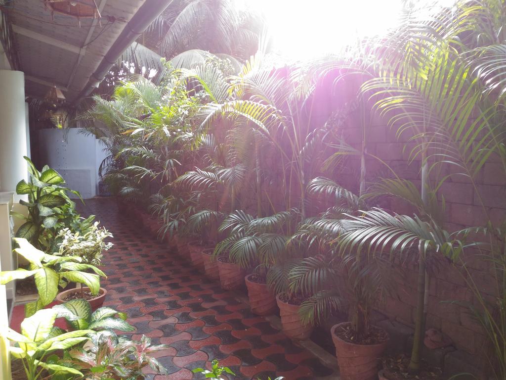 Alba Rooms Palolem Rosebuds Dış mekan fotoğraf